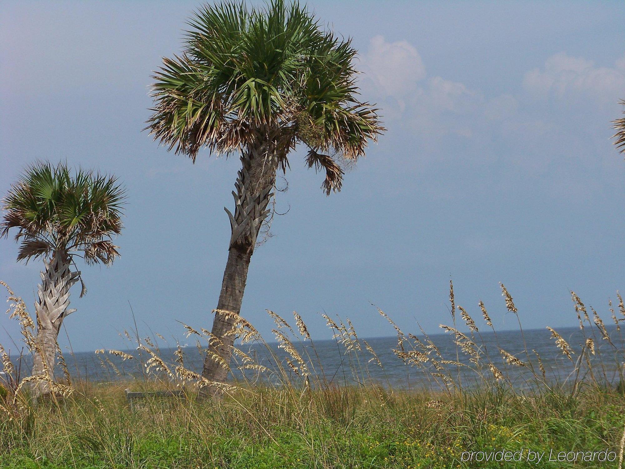 Holiday Inn Express Saint Simons Island By Ihg St. Simons Island Екстер'єр фото